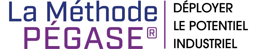 LA MÉTHODE PÉGASE AXE-S-ONE vous accompagne dans votre projet d’intégration de vos processus robotisées. Bénéficiez de La Méthode PÉGASE de l'ingénierie à la formation.
